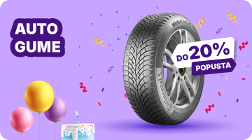 Auto Gume